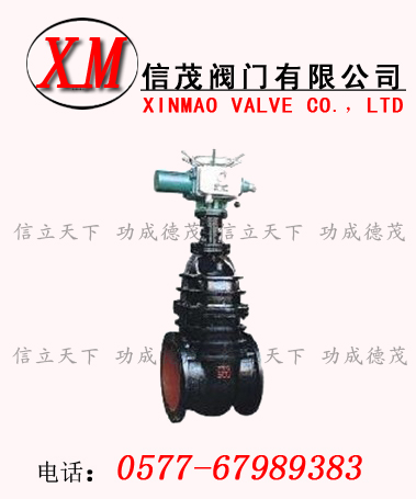 電動明桿閘閥