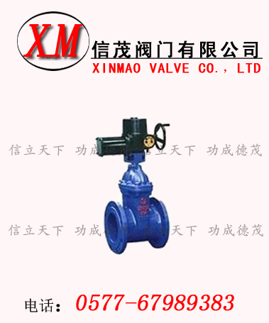電動軟密封閘閥